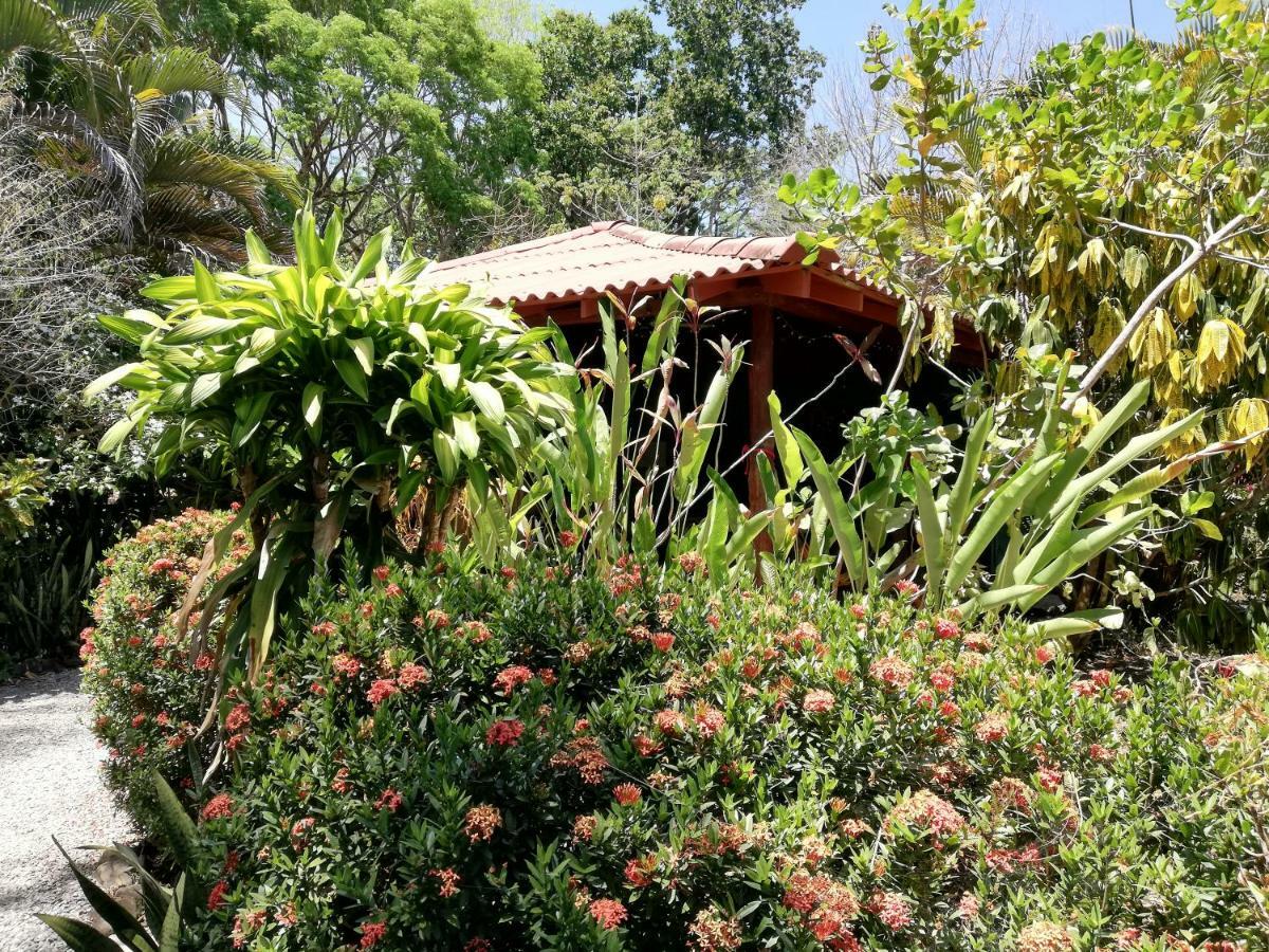 Cabuya Mundo Goub'Art住宿加早餐旅馆 外观 照片