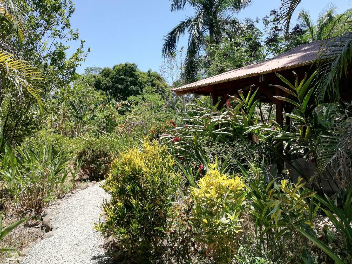 Cabuya Mundo Goub'Art住宿加早餐旅馆 外观 照片
