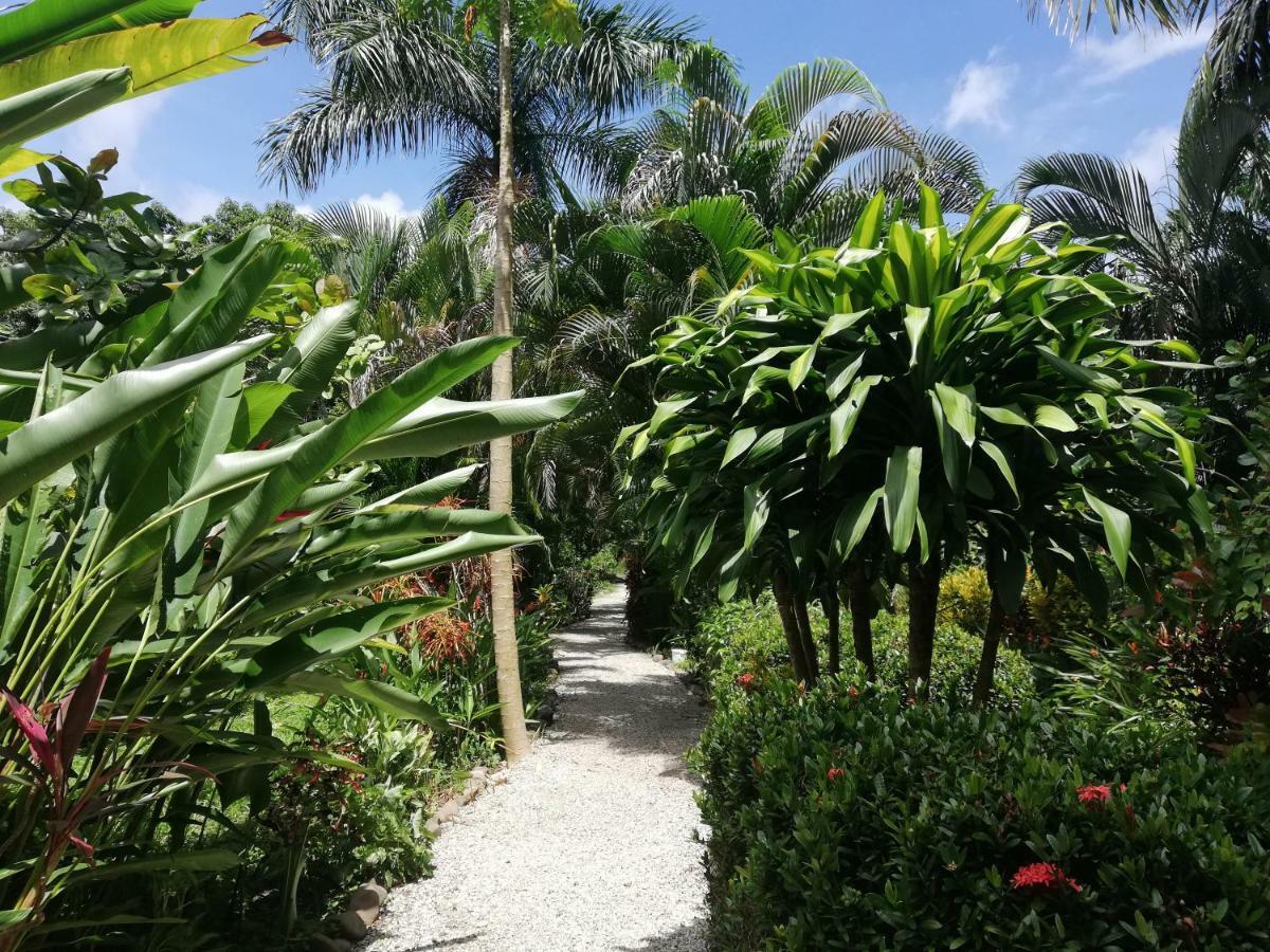 Cabuya Mundo Goub'Art住宿加早餐旅馆 外观 照片